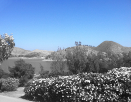 escondido-real-estate-appraisals